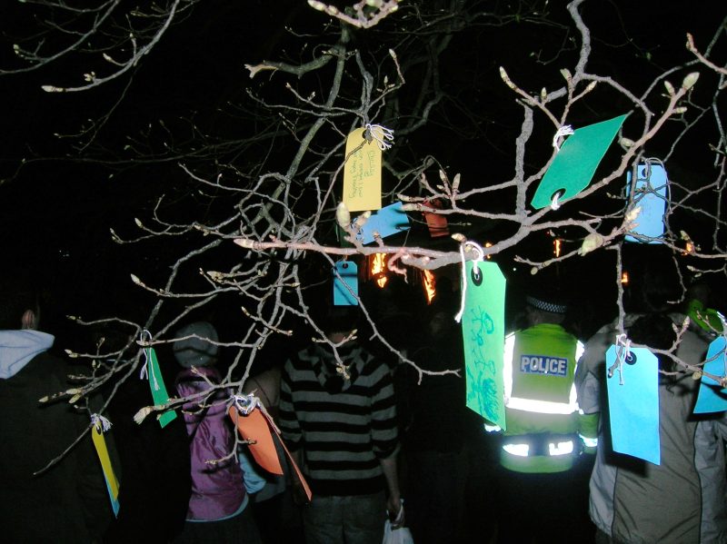 Featured image for “Wishing Tree”