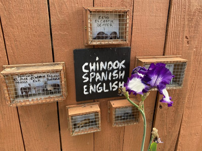 Featured image for “What’s In a Word?”
