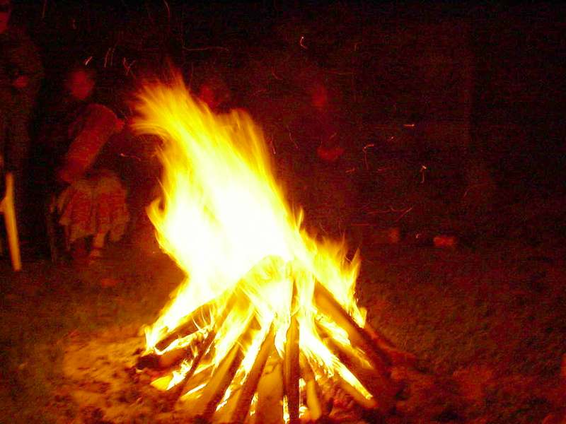 Featured image for “Acceptance News: The “Burn It Down” Issue of TrashLight Press”