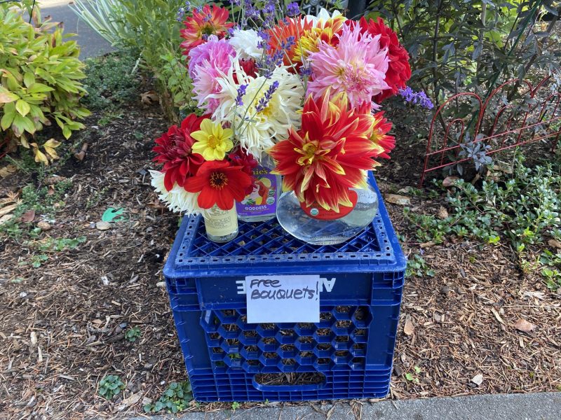 Featured image for “Greetings from War-Ravaged Portland!”
