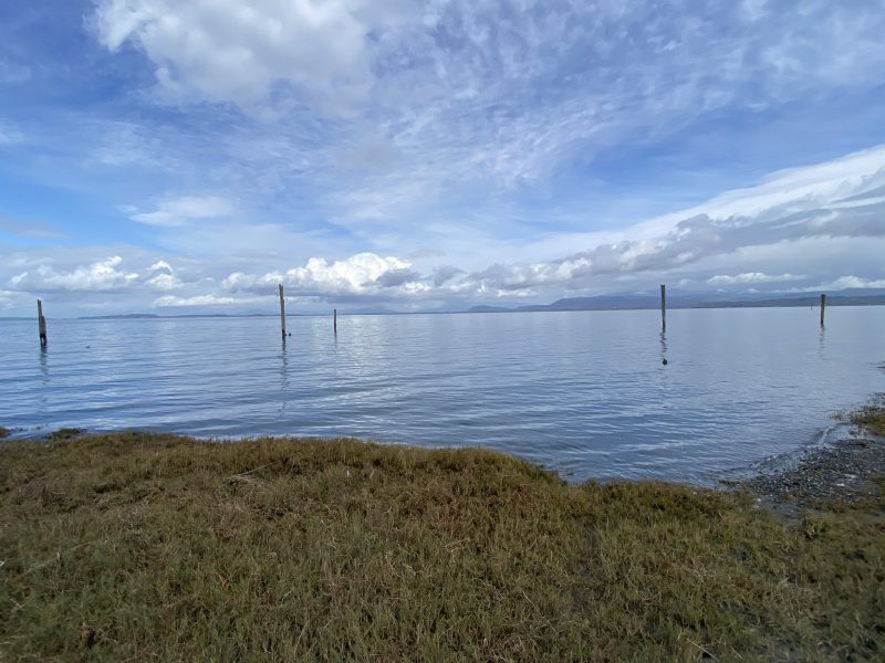 Featured image for “For the love of a watery landscape…”