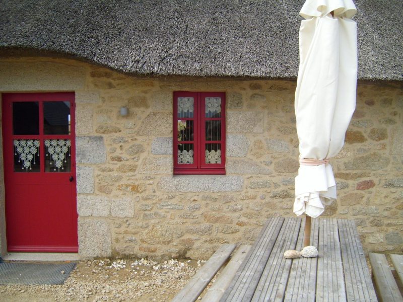 Featured image for “Acceptance News: Red Door Magazine”